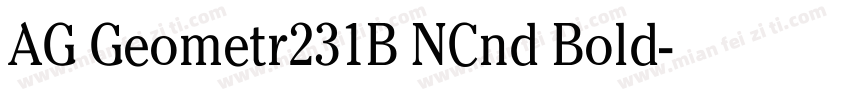 AG Geometr231B NCnd Bold字体转换